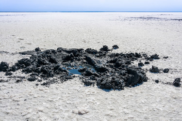 Similar image 12198737