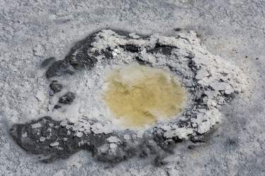 Similar image 12198738