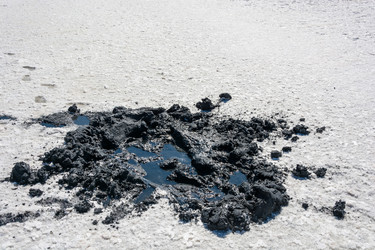 Similar image 12198739