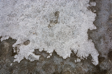 Similar image 12198745