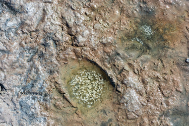 Similar image 12198746