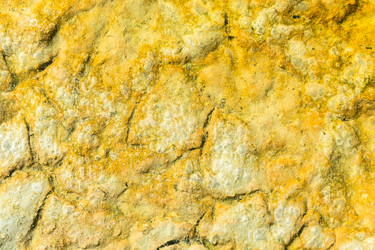 Similar image 12198748