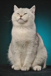 Similar image 12221014