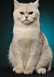 Similar image 12221015