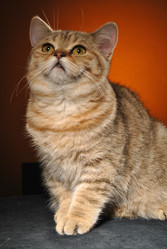 Similar image 12221016