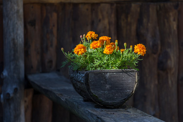 Similar image 12219409