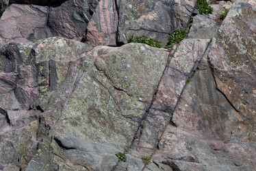 Similar image 12219429