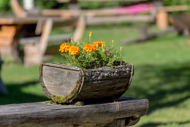 Similar image 12219446