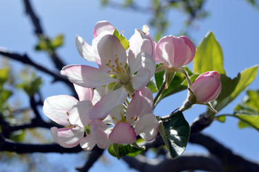 Similar image 12206531