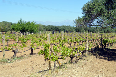 Similar image 12206754