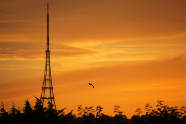 Similar image 12208166