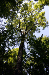 Similar image 12206758