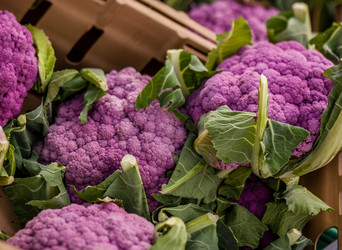 Similar image 12208179