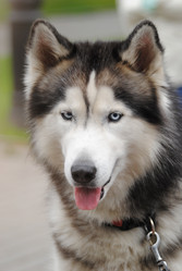 Similar image 12221034