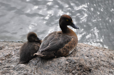 Similar image 12221057