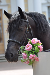 Similar image 12221017