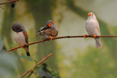 Similar image 12221042