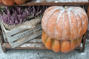 Similar image 12221047