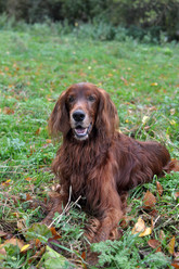 Similar image 12221020