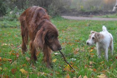 Similar image 12221050