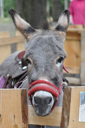 Similar image 12221053