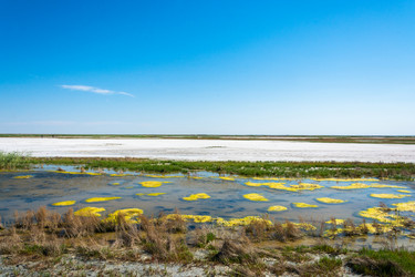 Similar image 12198712