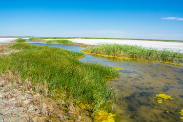 Similar image 12198713