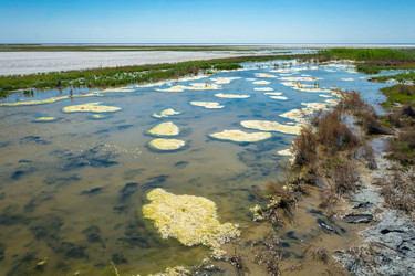 Similar image 12198714