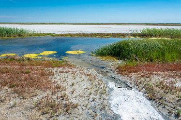 Similar image 12198715