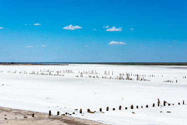 Similar image 12198725