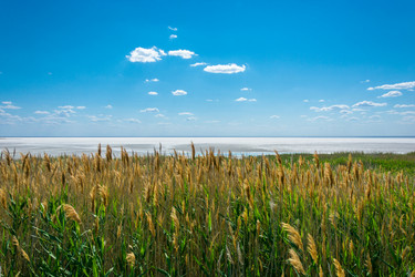 Similar image 12198727