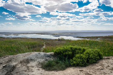 Similar image 12198728