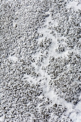 Similar image 12198732