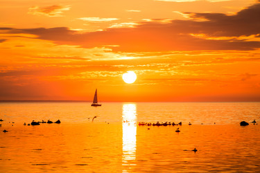 Similar image 12219828