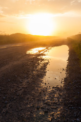 Similar image 12219920