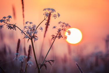 Similar image 12219933