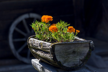 Similar image 12220163