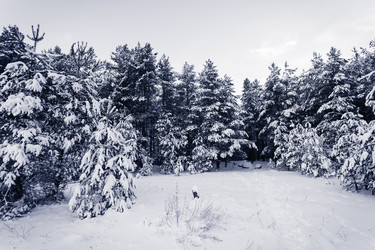 Similar image 12220192