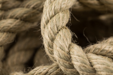 Similar image 12220277