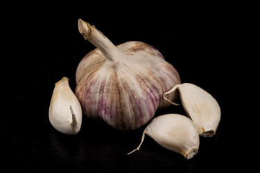 Similar image 12219482