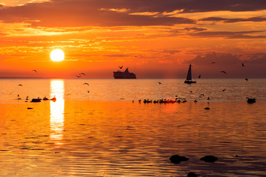 Similar image 12219484