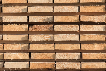 Similar image 12219498