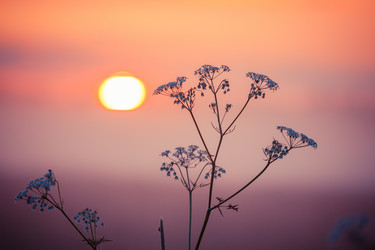 Similar image 12219809