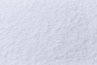 Similar image 12219829