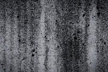 Similar image 12219934