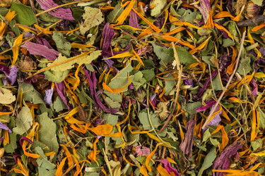 Similar image 12219965