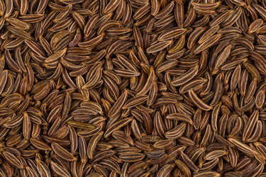 Similar image 12219981