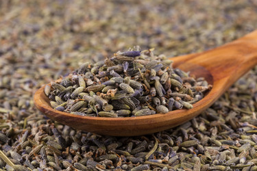 Similar image 12220125