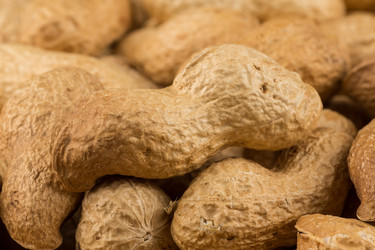 Similar image 12220209