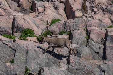 Similar image 12220234